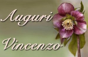 auguri san vincenzo onomastico