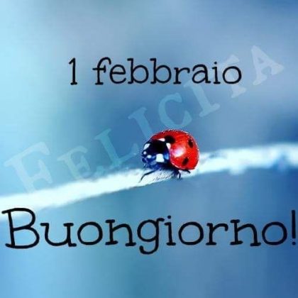 buon mese di febbraio 2