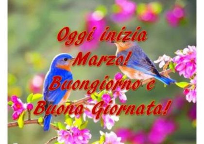 immagini buon 1 marzo 2