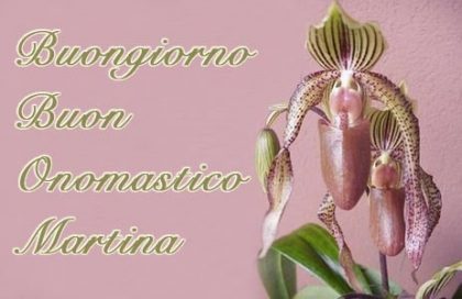 martina frasi auguri onomastico