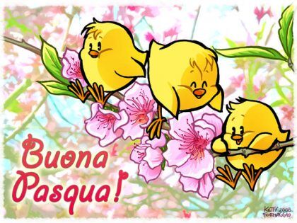 pasqua_000015